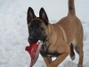 100213_016-kopie